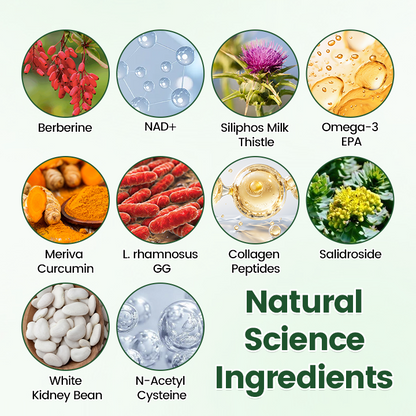 𝑶𝒇𝒇𝒊𝒄𝒊𝒂𝒍 𝑺𝒕𝒐𝒓𝒆  | ☀️☀️𝑻𝒊𝒎𝒊𝒍𝒌® 𝑴𝒐𝒓𝒊𝒏𝒈𝒂 · 𝑩𝒆𝒓𝒃𝒆𝒓𝒊𝒏𝒆 + 𝑵𝑨𝑫+ 10-𝒊𝒏-1 𝑵𝒂𝒏𝒐 𝑴𝒊𝒄𝒓𝒐𝒏𝒆𝒆𝒅𝒍𝒆 𝑷𝒂𝒕𝒄𝒉(𝐉𝐮𝐬𝐭 𝐨𝐧𝐜𝐞 𝐚 𝐝𝐚𝐲, 𝐯𝐢𝐬𝐢𝐛𝐥𝐞 𝐜𝐡𝐚𝐧𝐠𝐞𝐬 𝐢𝐧 𝟕 𝐝𝐚𝐲𝐬） (A)