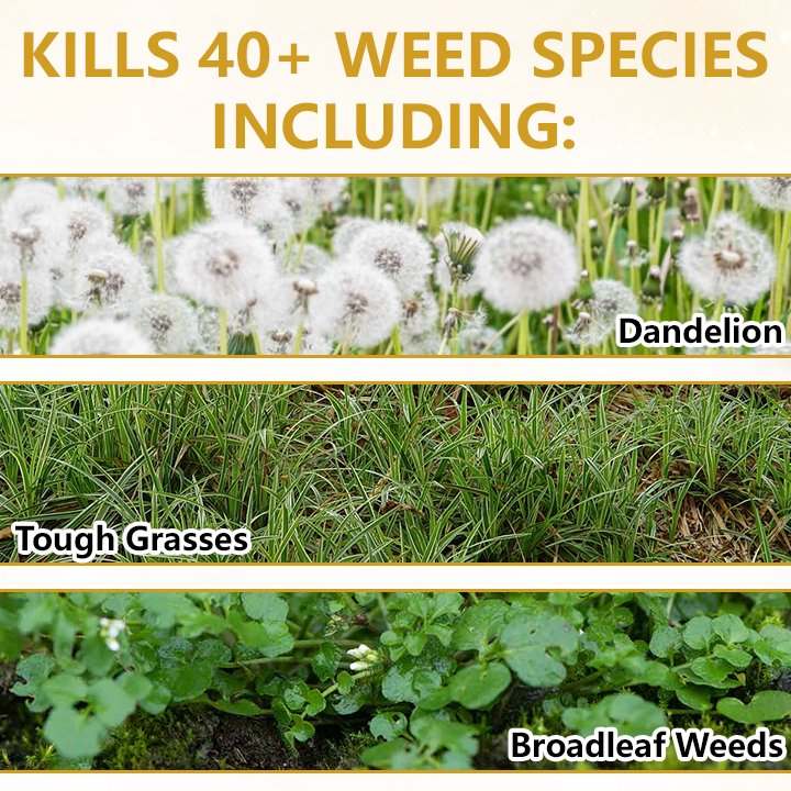 🏆 Official Store |Timilk® Pro Strength 2-in-1 Herbicide: Fast   Acting Results on   Glyphosate-Resistant   Weeds