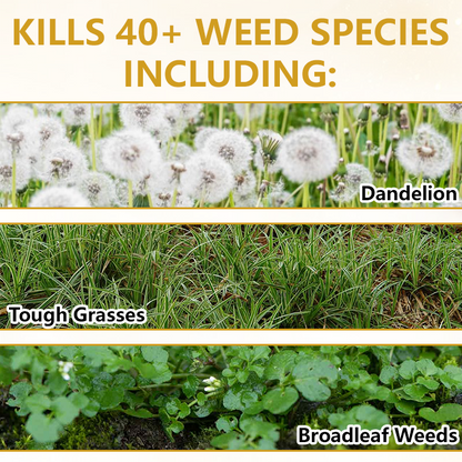 🏆 Official Store |Timilk® Pro Strength 2-in-1 Herbicide: Fast   Acting Results on   Glyphosate-Resistant   Weeds