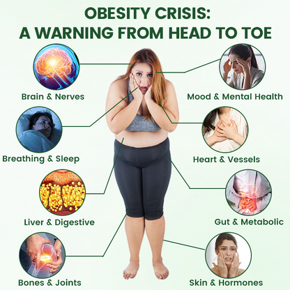 𝑶𝒇𝒇𝒊𝒄𝒊𝒂𝒍 𝑺𝒕𝒐𝒓𝒆  | ☀️☀️𝑻𝒊𝒎𝒊𝒍𝒌® 𝑴𝒐𝒓𝒊𝒏𝒈𝒂 · 𝑩𝒆𝒓𝒃𝒆𝒓𝒊𝒏𝒆 + 𝑵𝑨𝑫+ 10-𝒊𝒏-1 𝑵𝒂𝒏𝒐 𝑴𝒊𝒄𝒓𝒐𝒏𝒆𝒆𝒅𝒍𝒆 𝑷𝒂𝒕𝒄𝒉(𝐉𝐮𝐬𝐭 𝐨𝐧𝐜𝐞 𝐚 𝐝𝐚𝐲, 𝐯𝐢𝐬𝐢𝐛𝐥𝐞 𝐜𝐡𝐚𝐧𝐠𝐞𝐬 𝐢𝐧 𝟕 𝐝𝐚𝐲𝐬） (A)